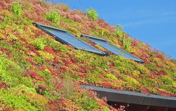 Highbury Vale living roof systems